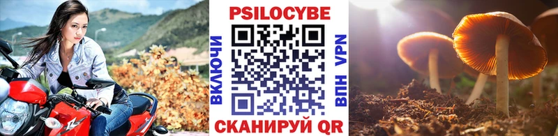 Псилоцибиновые грибы Magic Shrooms  где купить наркотик  Буйнакск 